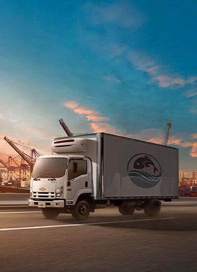 Para el transporte terrestre y de carga | Buses y camiones Chevrolet Camión Colombiano